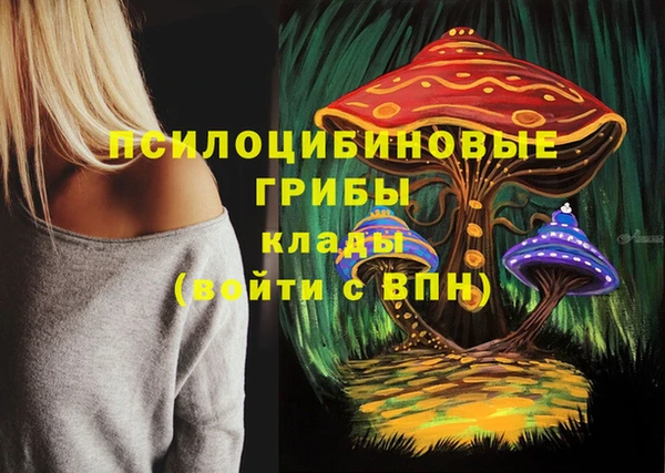 гидропоника Верхнеуральск