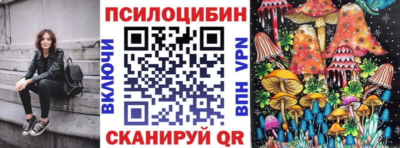 MEGA маркетплейс  Выборг  Псилоцибиновые грибы Magic Shrooms 